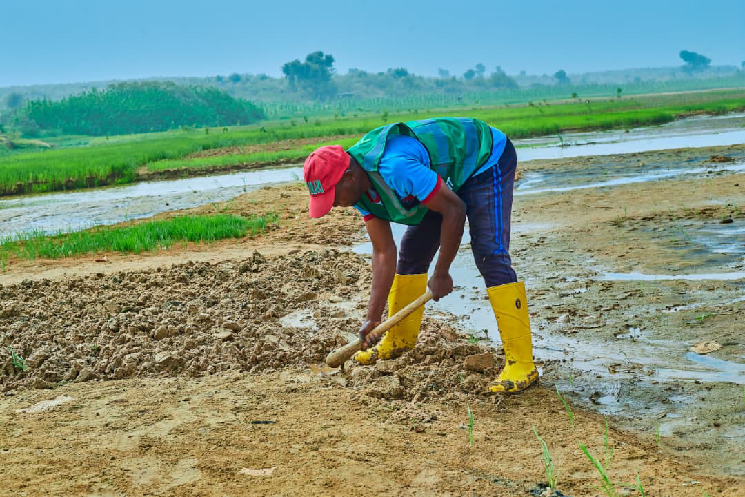 Farmer in field